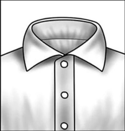 Ilustração do colarinho Cutaway